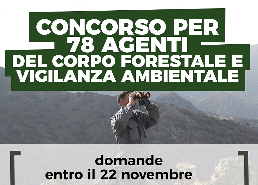 Pubblico Concorso Pubblico