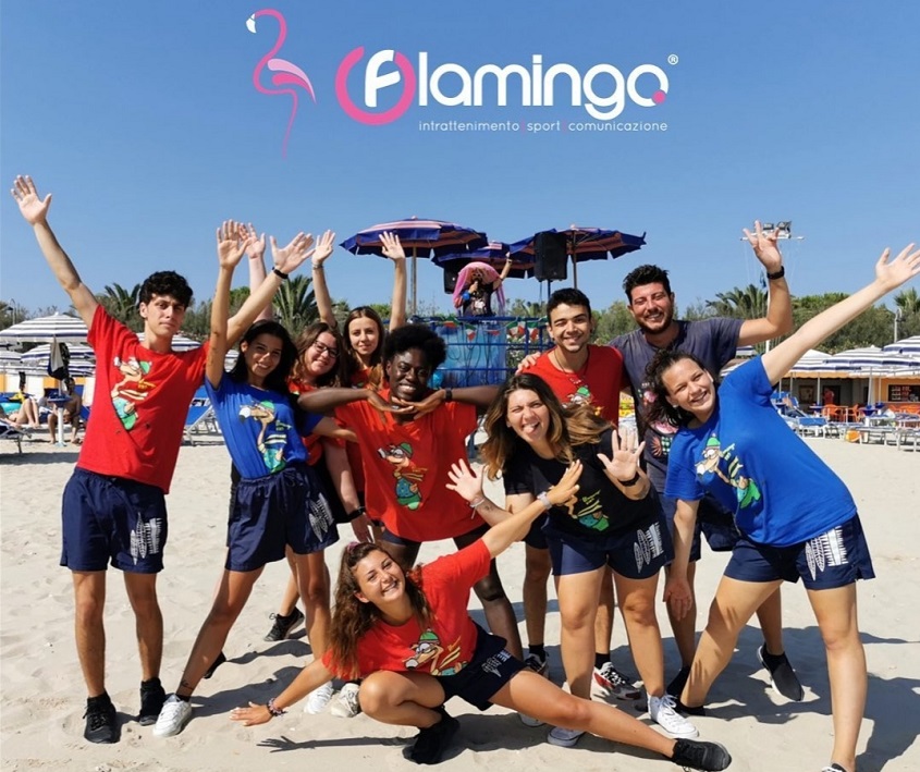 Flamingo Flamingo