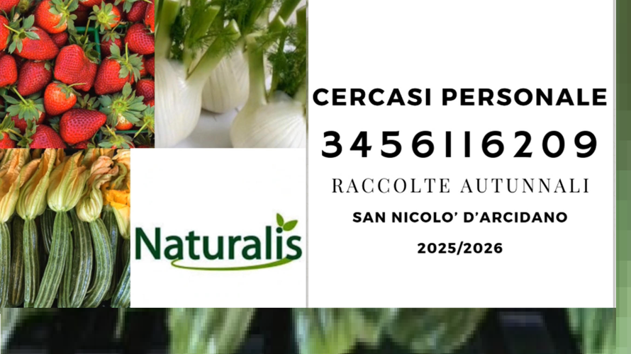 Naturalis